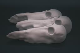 Tri Ghost Modular (Pre Supported) 3d model