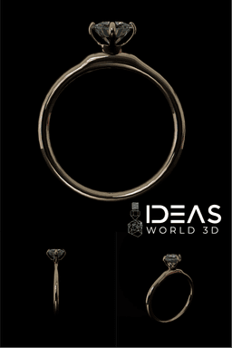 Ring 3d model
