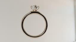 Ring 3d model