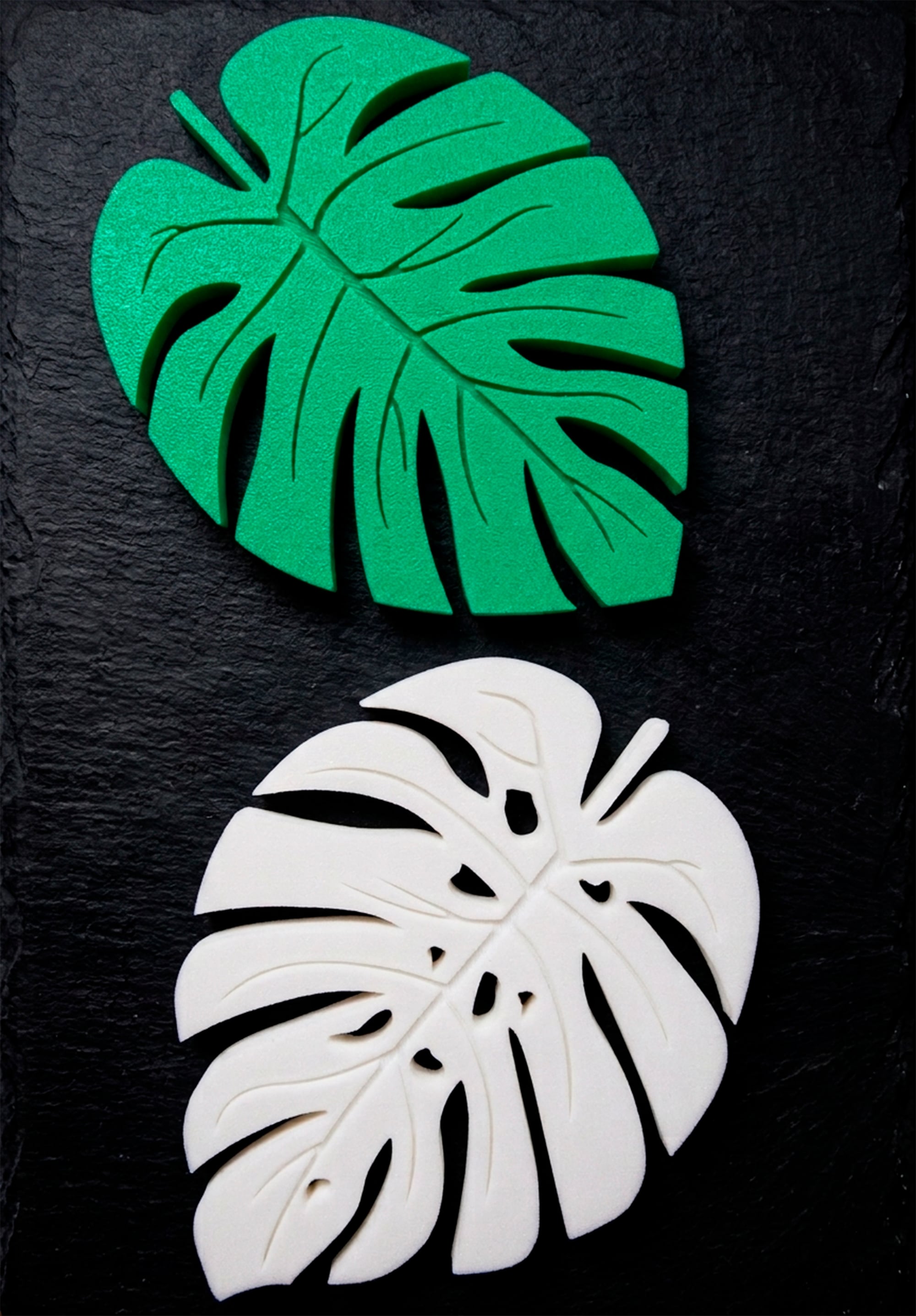 Monstera Leaf Coaster Set 3d model