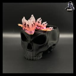 Skull Container Box 3d model
