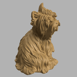 Yorkshire give paw 3d model