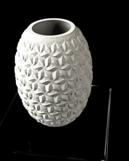 Distar Flower Vase by MODERN MACHINE 3d model