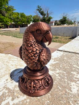 Parrot Bust 3d model