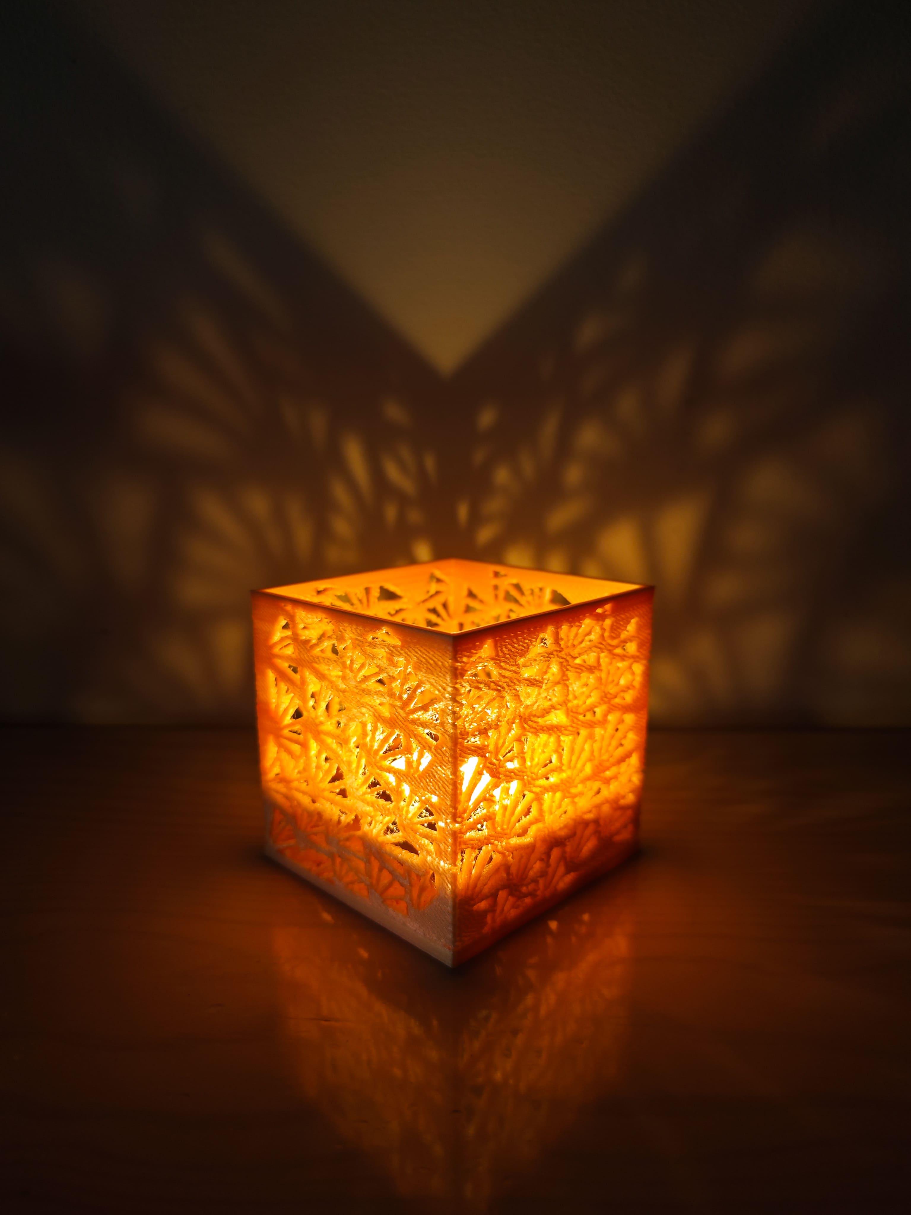 Concha | Candlecube 3d model