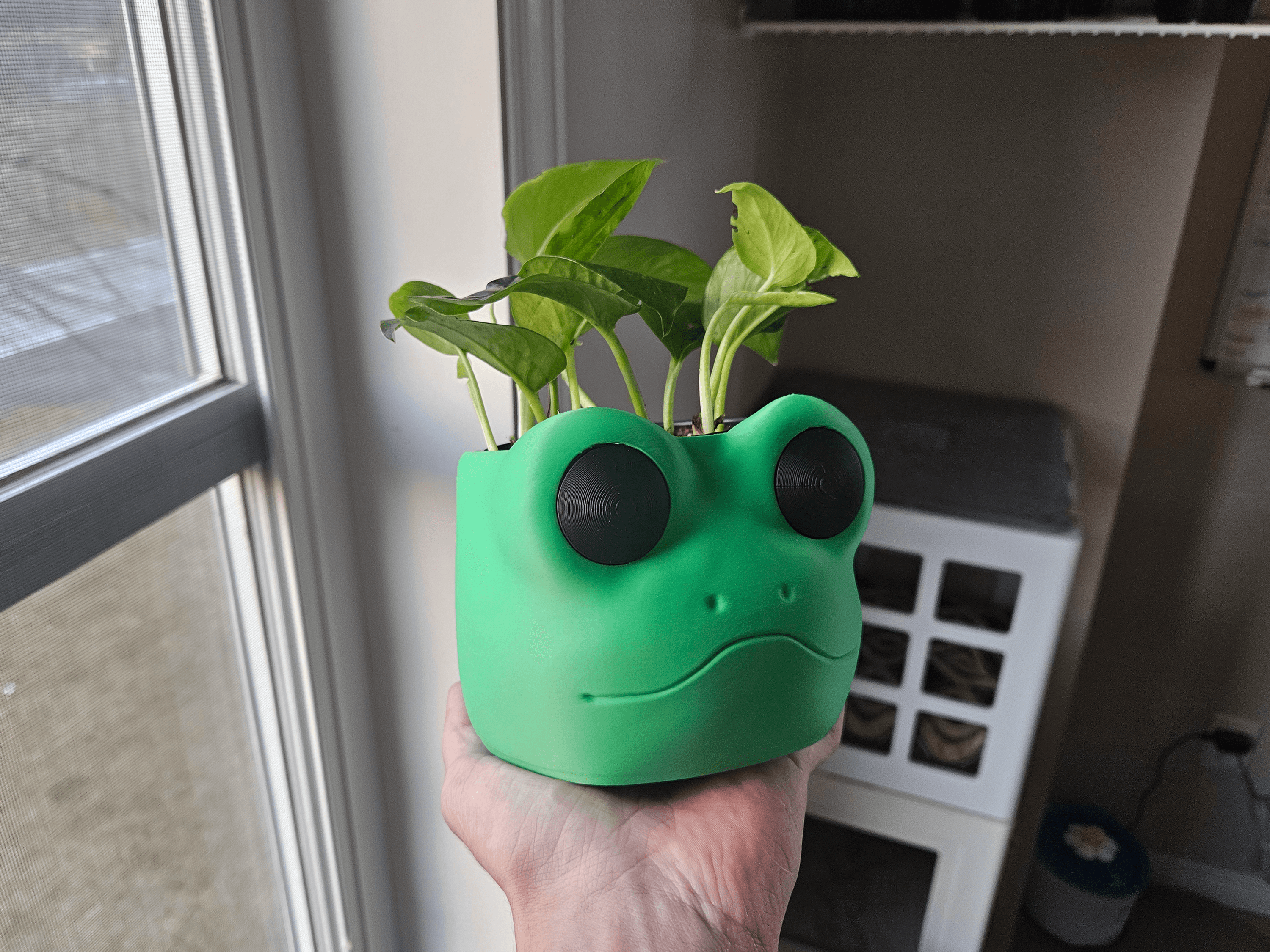 Froggy Planter Pot 3d model