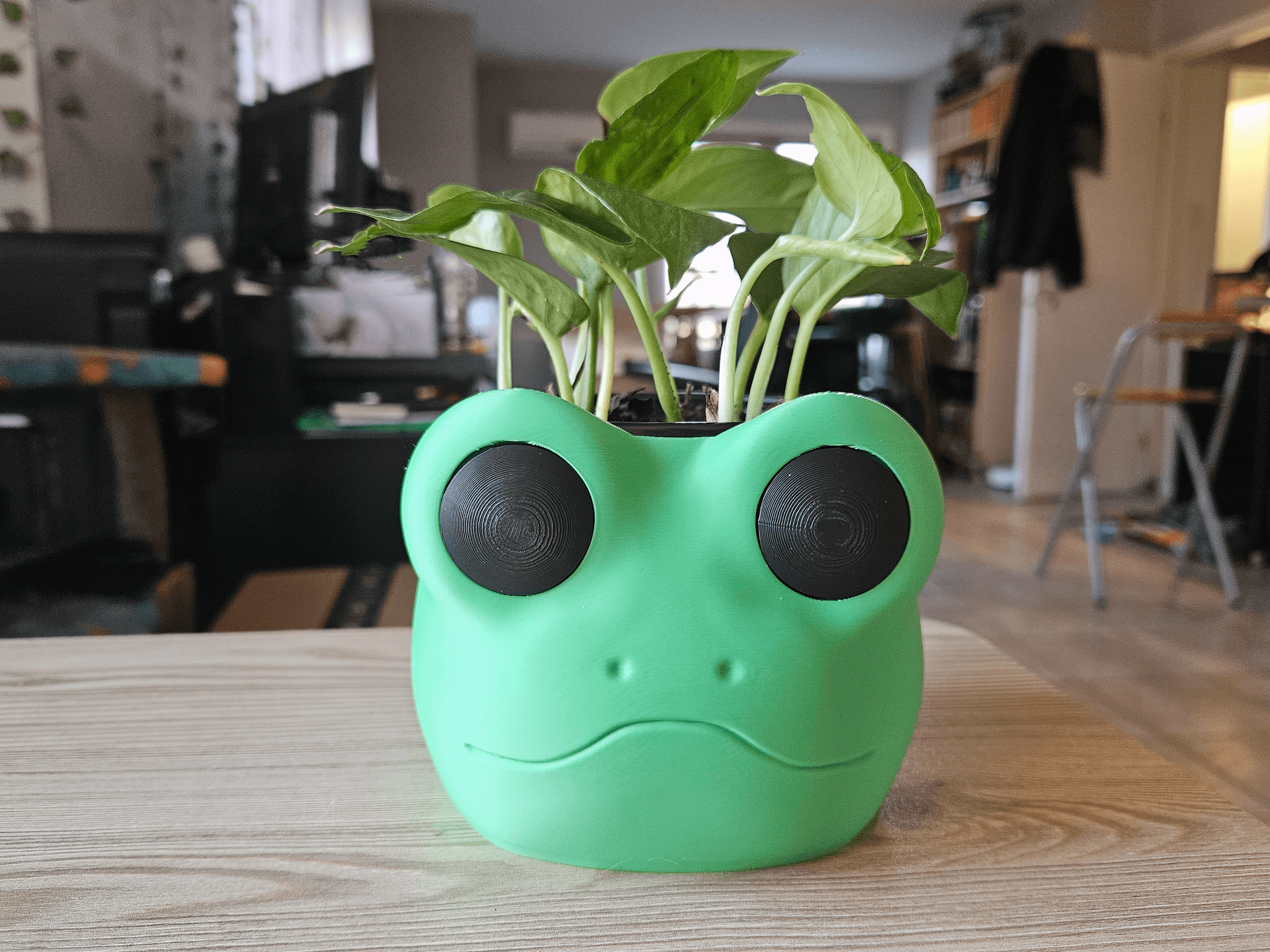Froggy Planter Pot 3d model