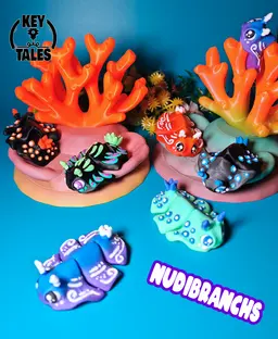 Nudibranchs! 3d model