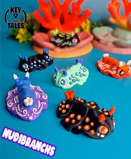 Nudibranchs! 3d model