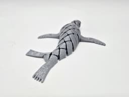 FLEXI SEA LION 3d model