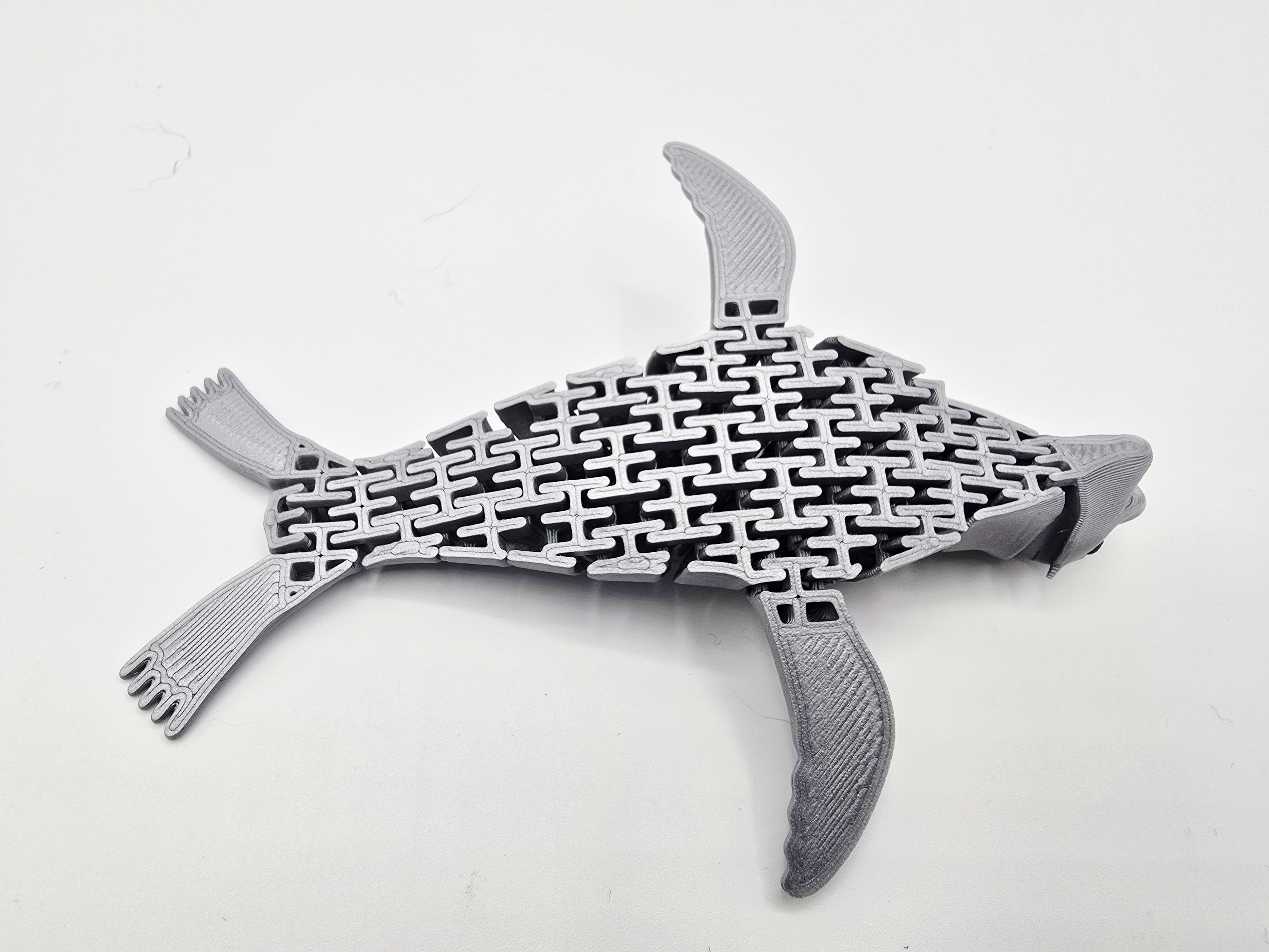 FLEXI SEA LION 3d model