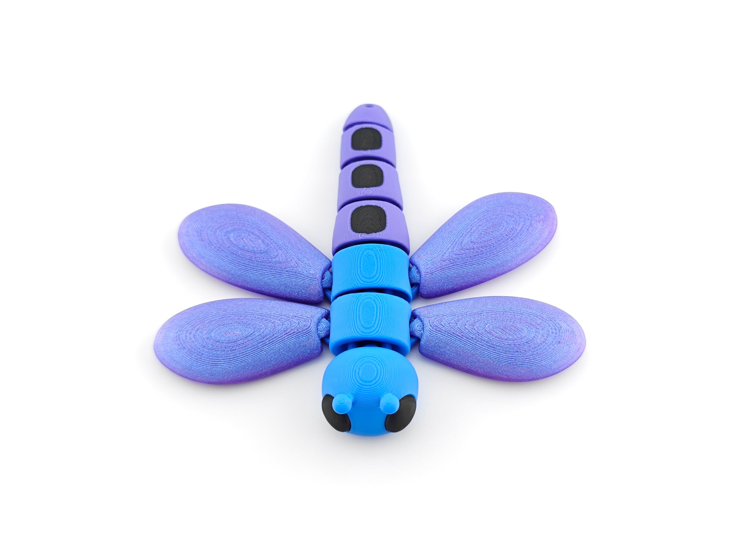 Dragonfly 3d model