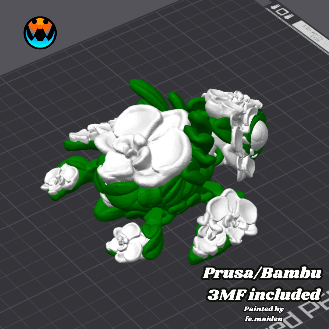 Orchiurtle 3d model
