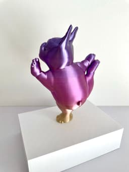 Boston Terrier Yoga Dog Pose 2 3d model
