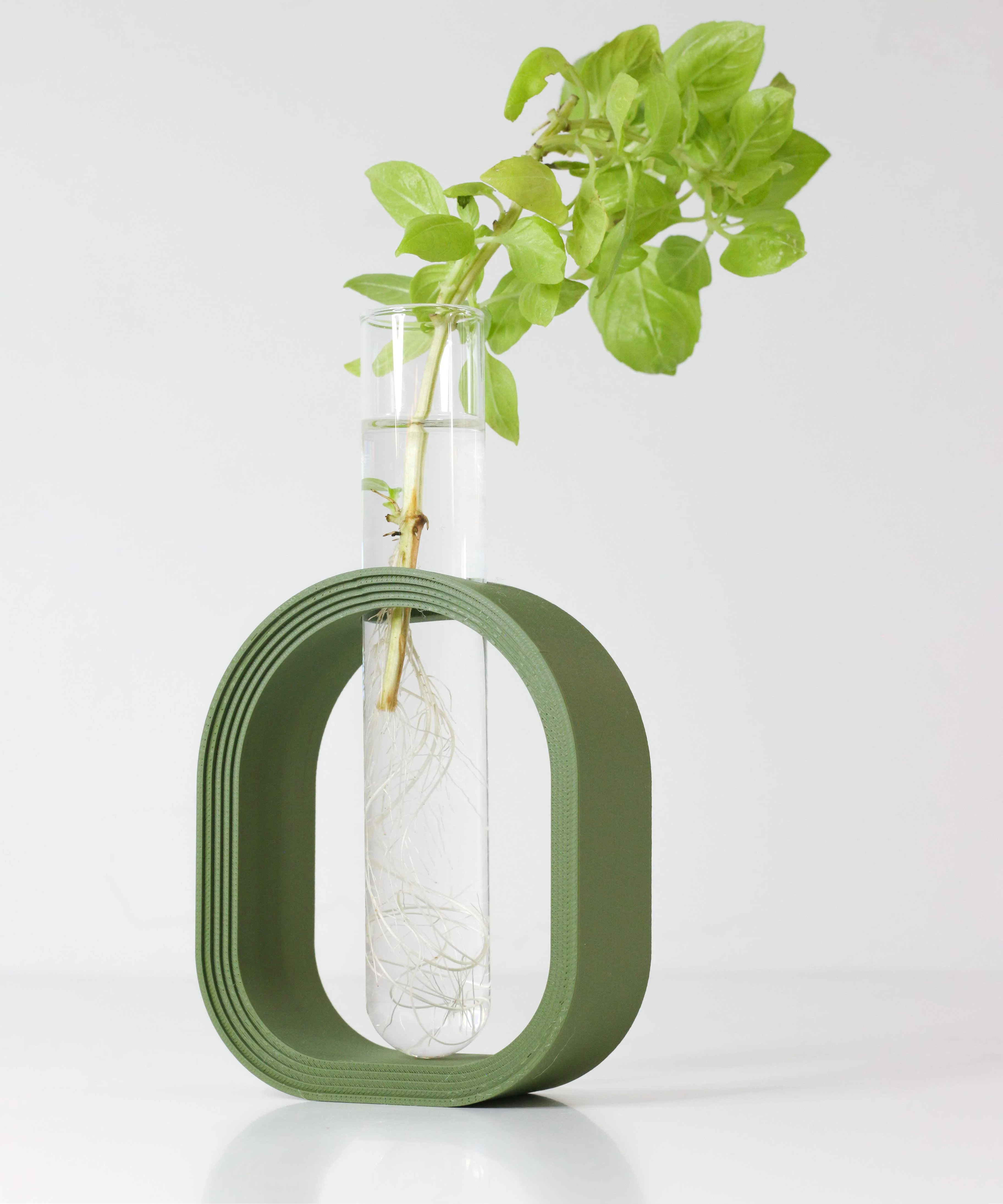 MODERN PLANT PROPAGATION HOLDER: GLASS TUBE STAND FOR EASY GROWTH 3d model