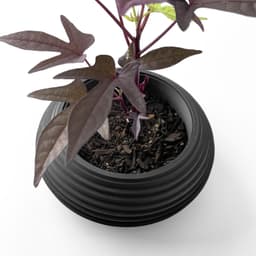 The Frons Planter Pot with Drainage Tray & Stand Included | Modern and Unique Home Decor 3d model