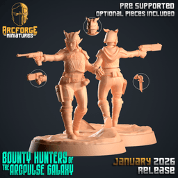 Female Tiefling Bounty Hunter 3d model