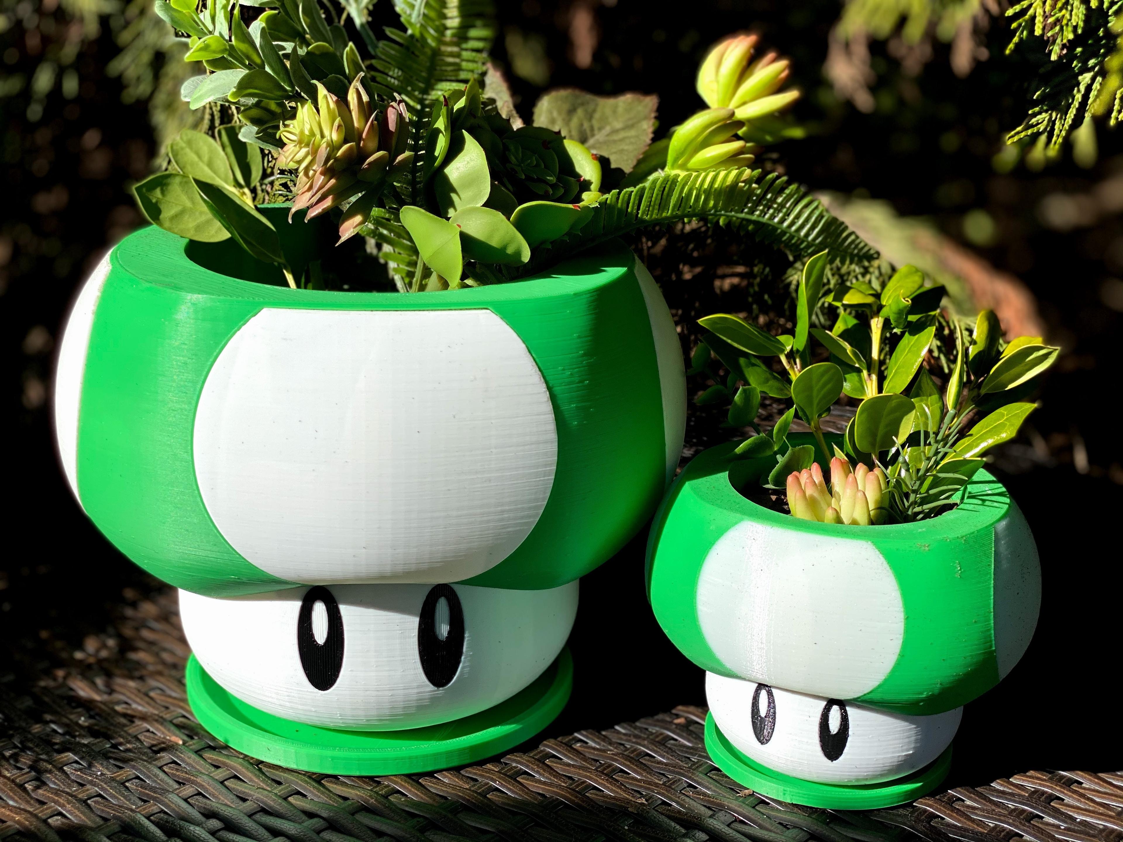Mario Themed Mushroom Planter  3d model