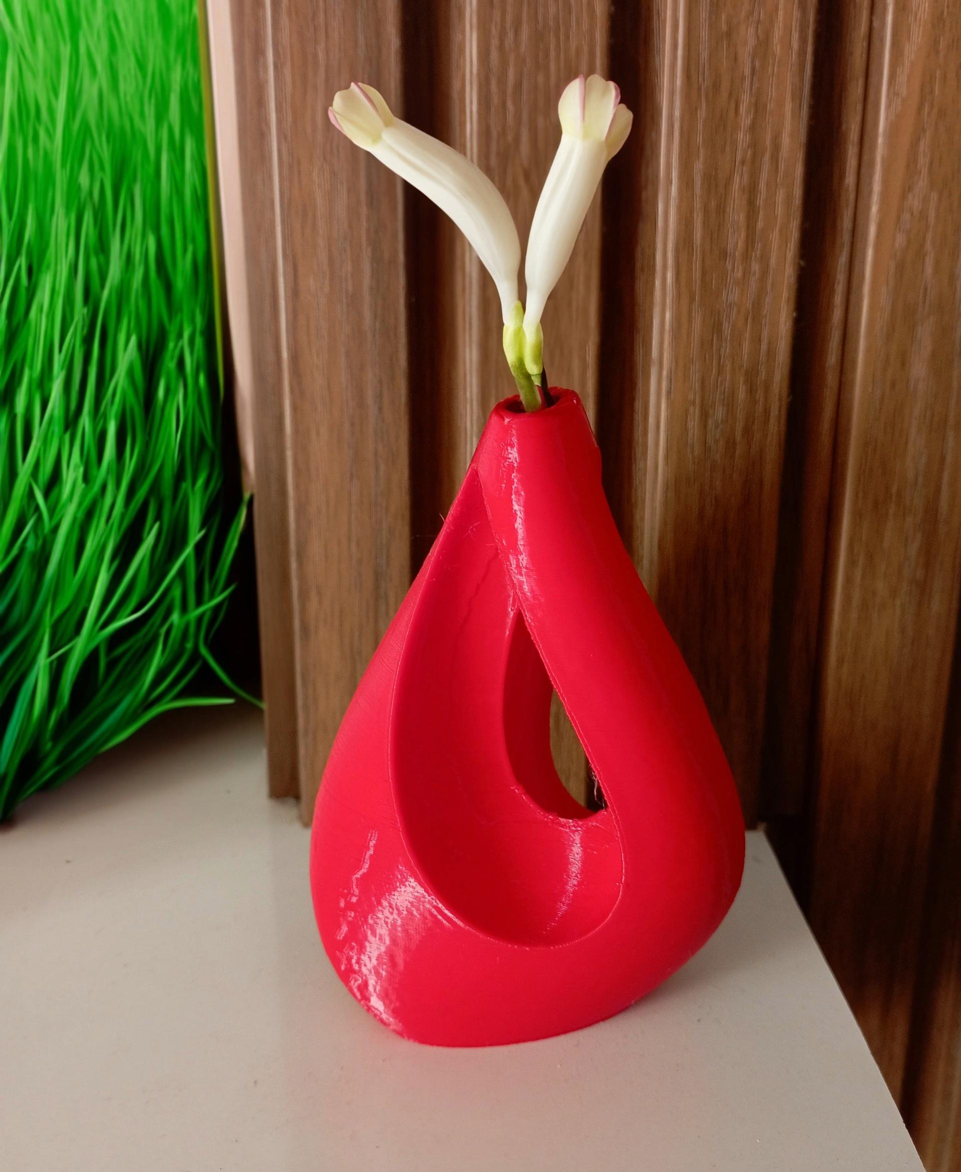 Asymmetric Teardrop Vase - Printed at 70% scale. Ender 5 pro.  - 3d model