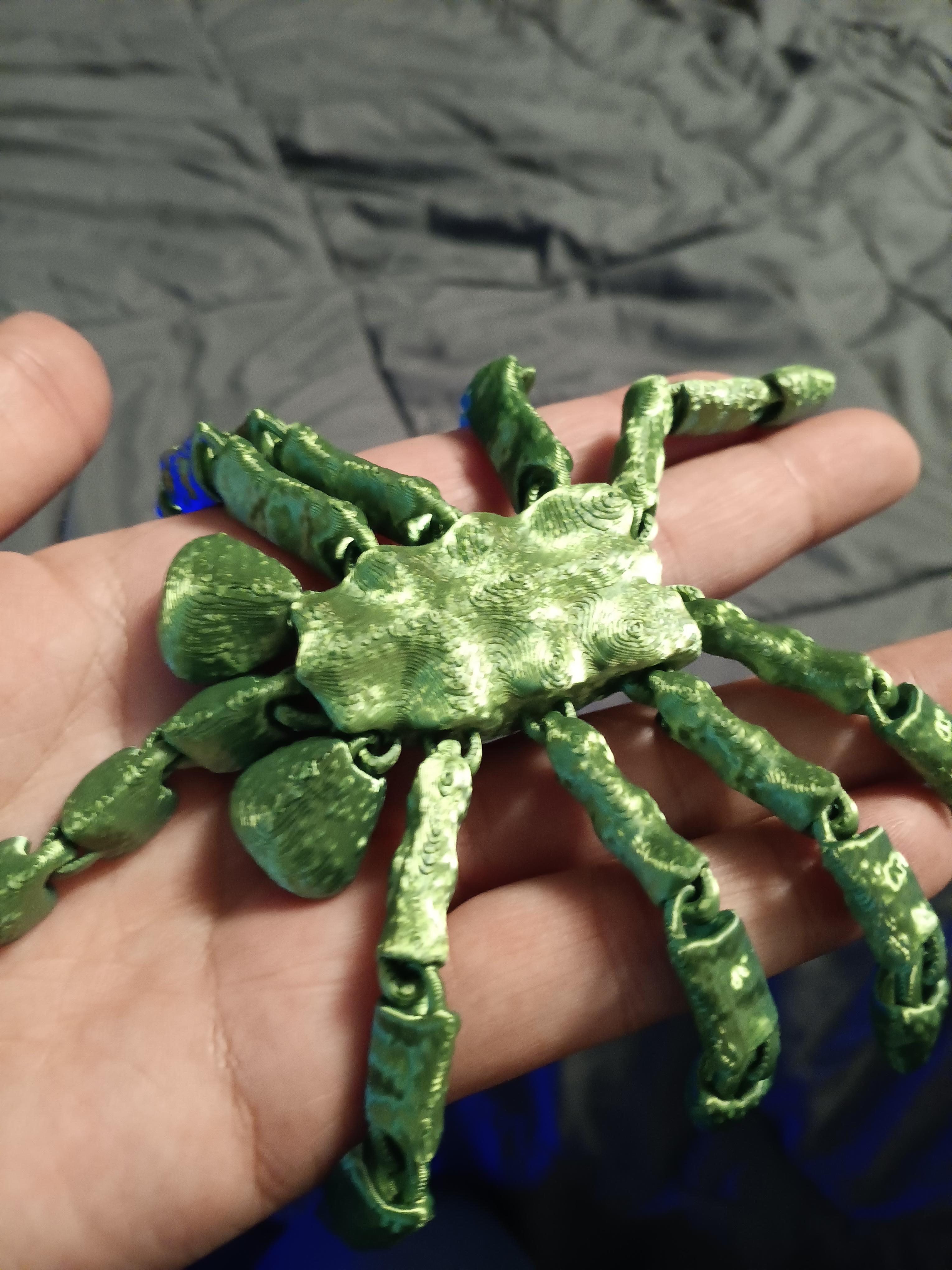 Articulated Facehugger - Flexi Fidget toy - print in place Higher Texture version 3d model