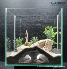 Aquarium & Terrarium Elephant Nose Tunnel Cave | Fish Tank and Terrarium Decoration 3d model