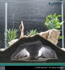 Aquarium & Terrarium Elephant Nose Tunnel Cave | Fish Tank and Terrarium Decoration 3d model