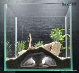 Aquarium & Terrarium Elephant Nose Tunnel Cave | Fish Tank and Terrarium Decoration 3d model