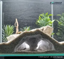 Aquarium & Terrarium Elephant Nose Tunnel Cave | Fish Tank and Terrarium Decoration 3d model