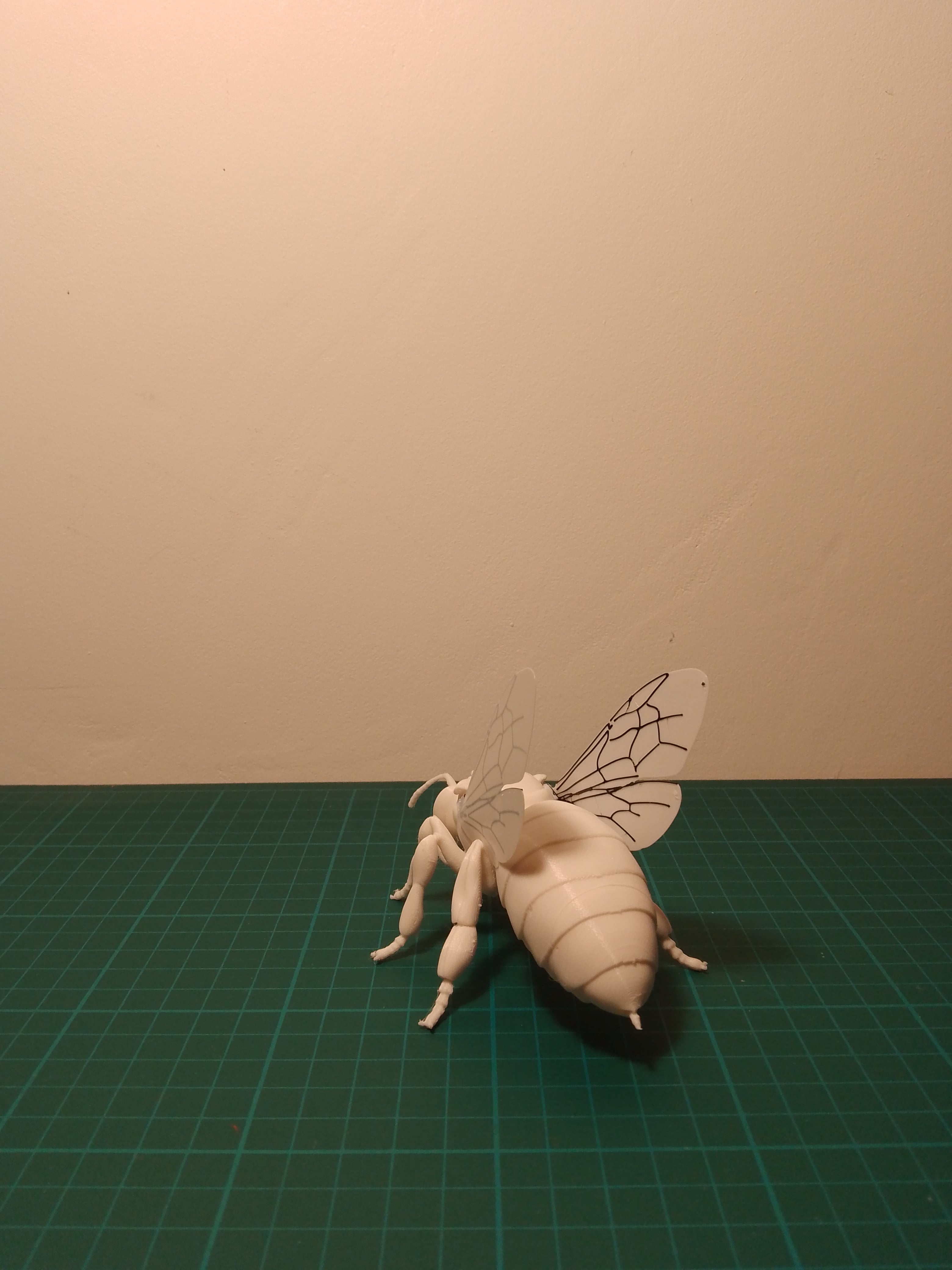 Honey Bee Model 3d model