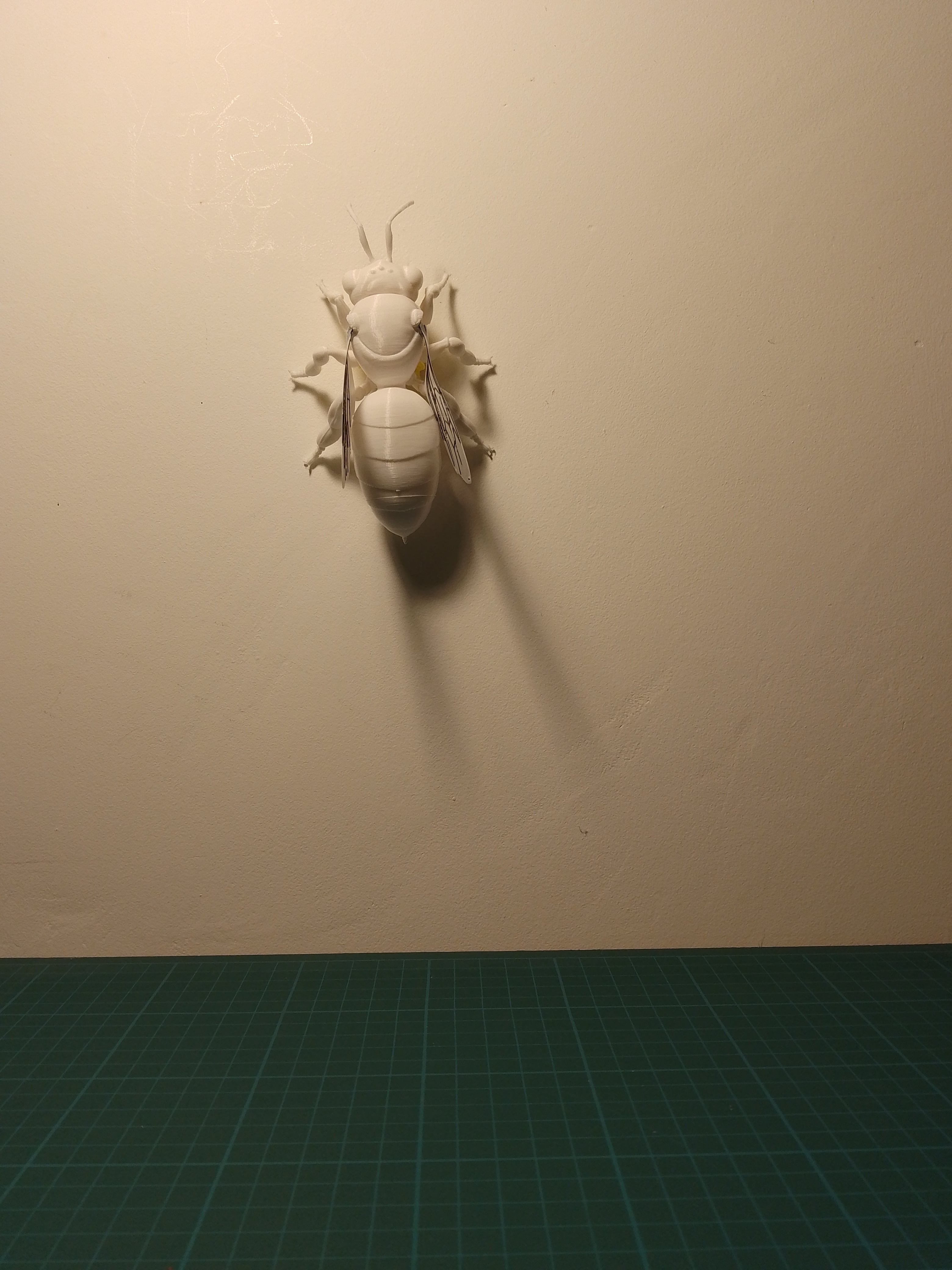 Honey Bee Model 3d model