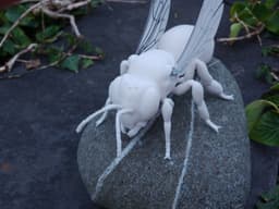 Honey Bee Model 3d model