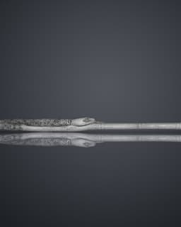 Peter Pettigrew's Second Wand - Harry Potter 3d model