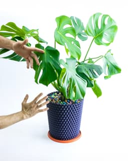 SPATHI Planter // Plant Pot or Bin 3d model