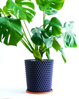 SPATHI Planter // Plant Pot or Bin 3d model
