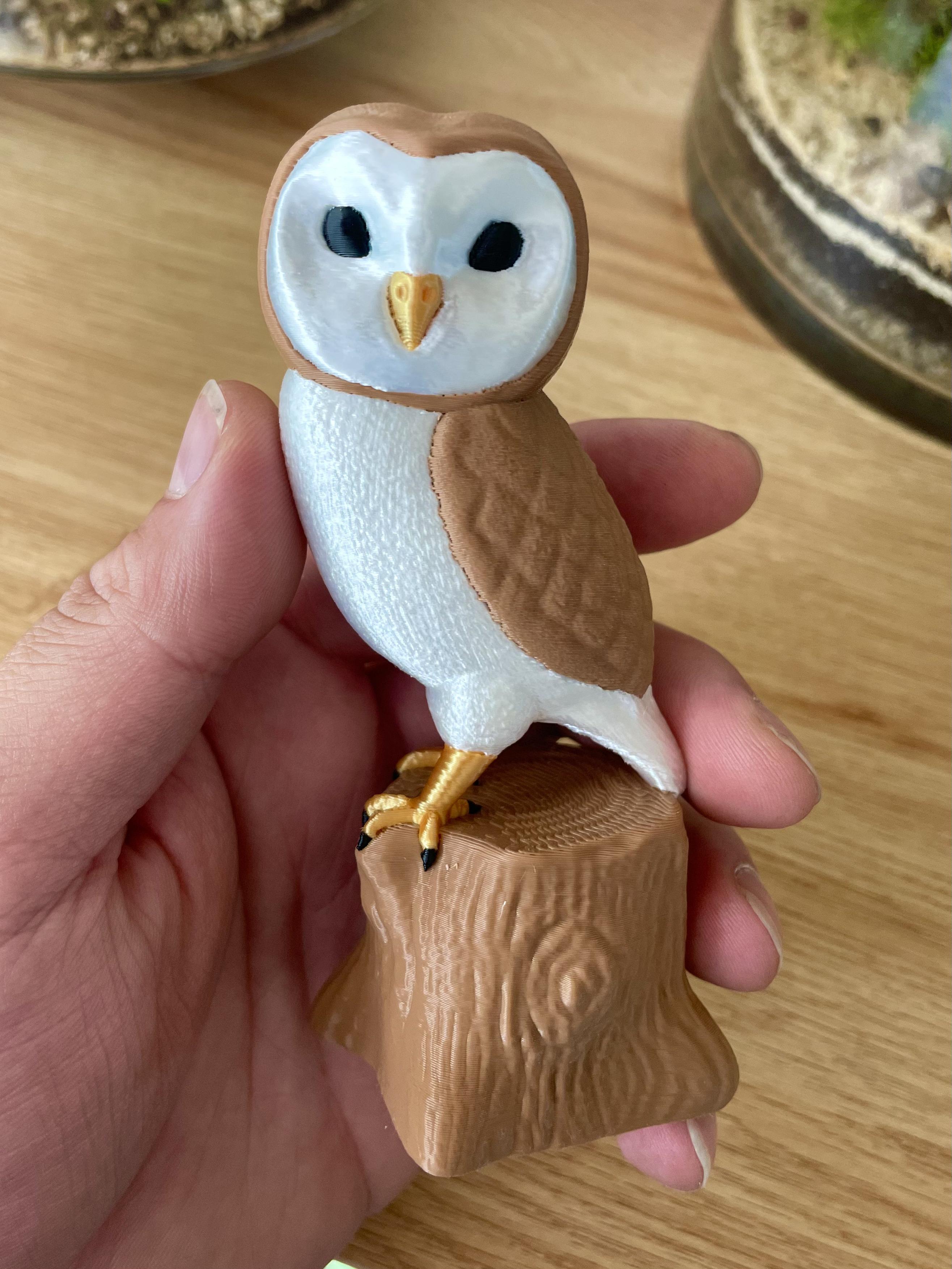 Owl On Tree Figurine And Ornament / No Supports / Includes 3MF  3d model
