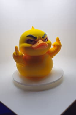 Lady FSCK Duck 3d model