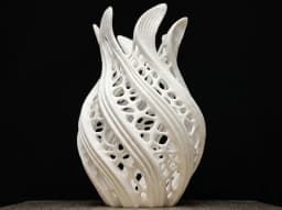 Aurelia Vase Organic Voronoi 3d model