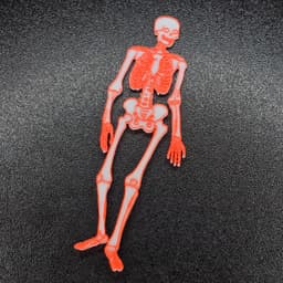 Skeleton_Colored_PrintStart3D.3mf 3d model