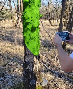 Tree trunk vase “Betula Pendula” 3d model