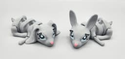 Cute Lucky Bunny Flexi Fidgets 3d model