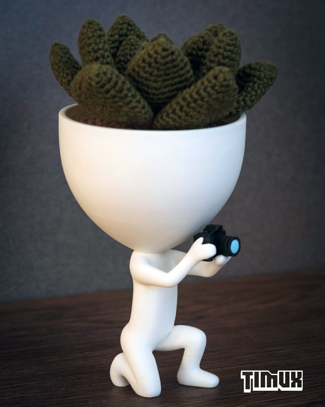 ROBERT PLANT PHOTOGRAPHER 3d model