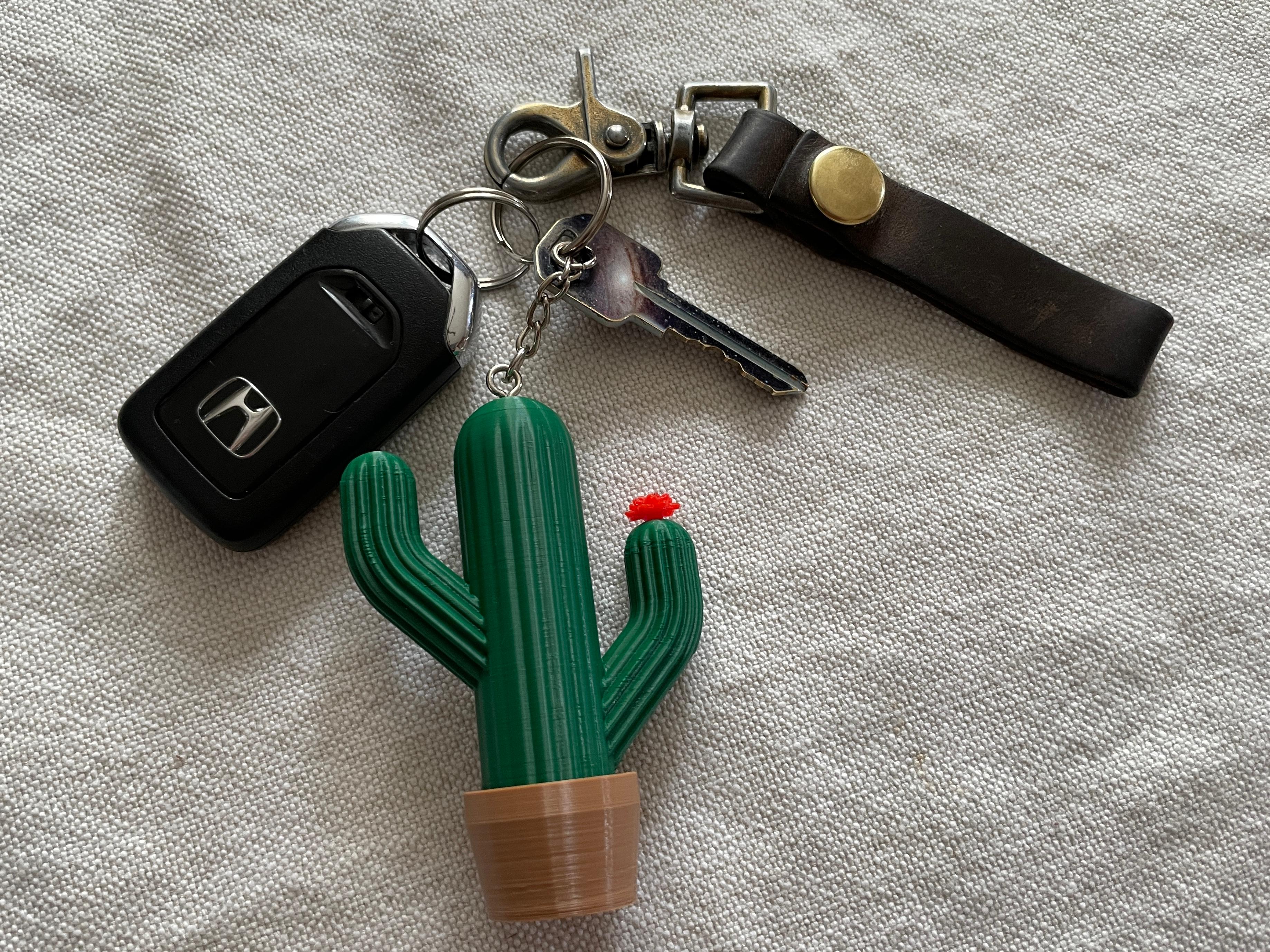 Cactus Canister Keychain 3d model