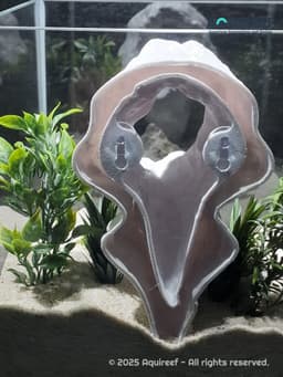 Hanging Rock Aquarium & Terrarium Cave | Vertical Rock type Fish Hideout | Reptile Natural Shelter 3d model