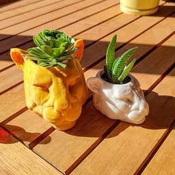 Puma Pot 3d model