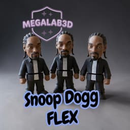Snoop Dogg 3mf free MegaLab3D 3d model