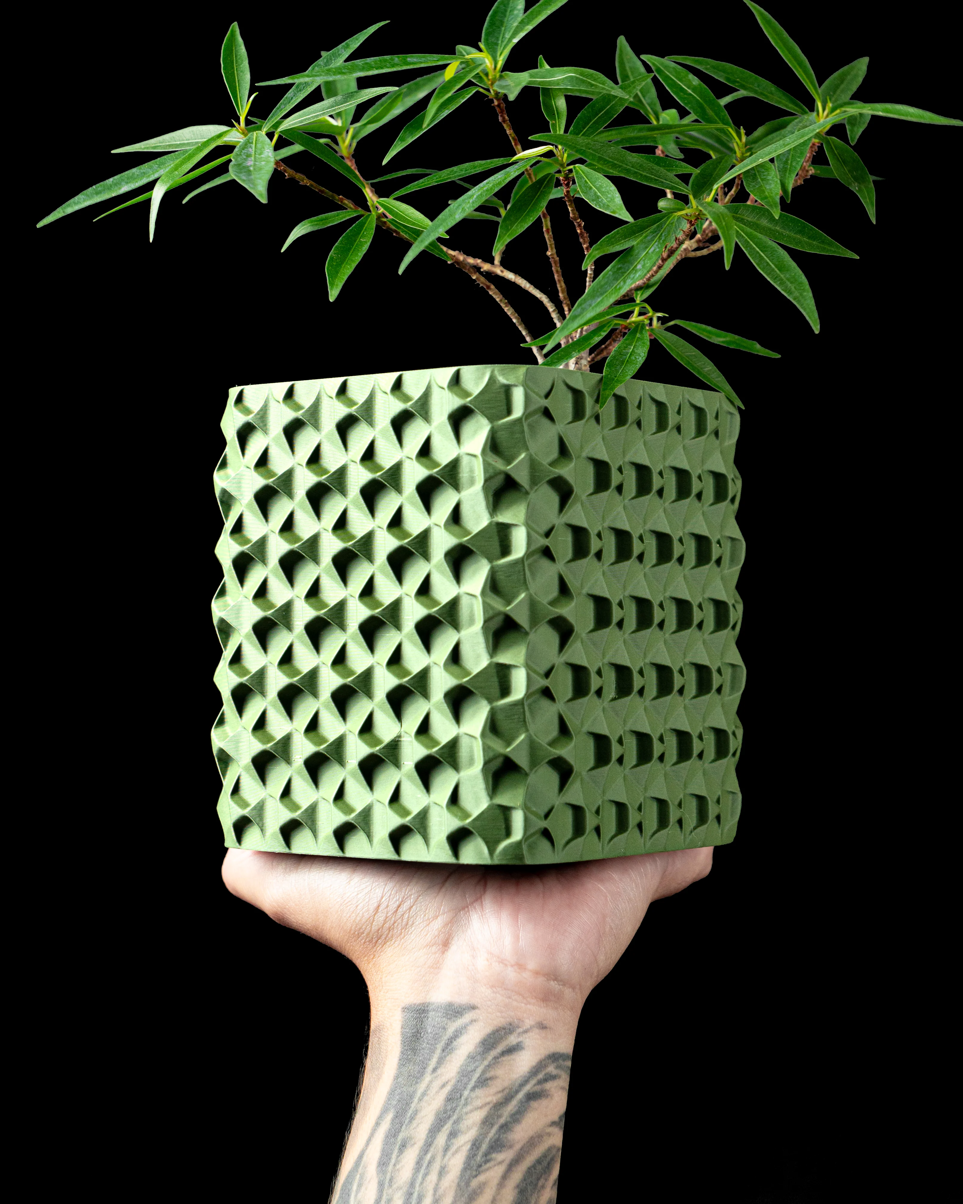 Rovi Square Planter Pot by MODERN MACHINE 3d model