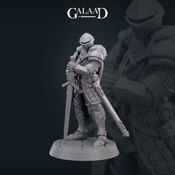 Knight frog helmet 01 3d model