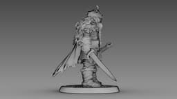 Woven Warrior 3d model