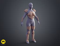 Female Goblin Slayer Armor - Goblin Slayer 3d model