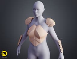 Female Goblin Slayer Armor - Goblin Slayer 3d model